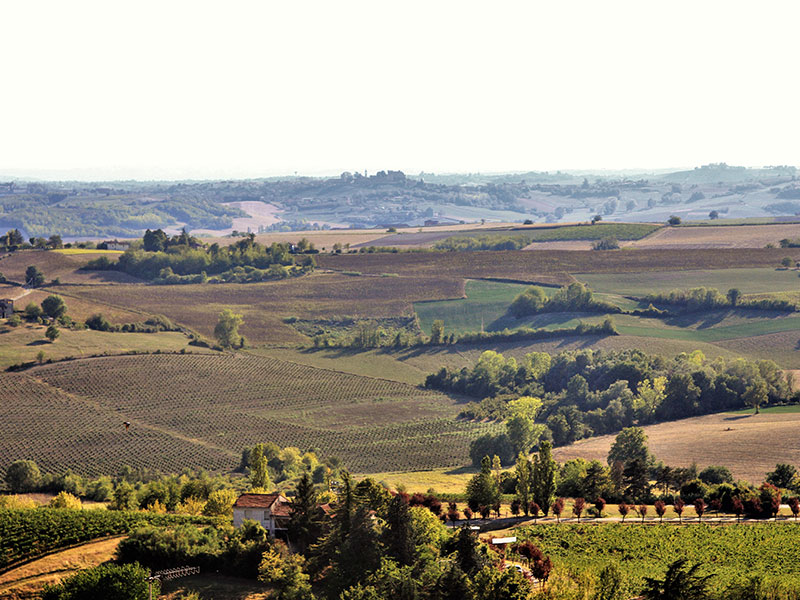 Comune di Vignale Monferrato (AL)