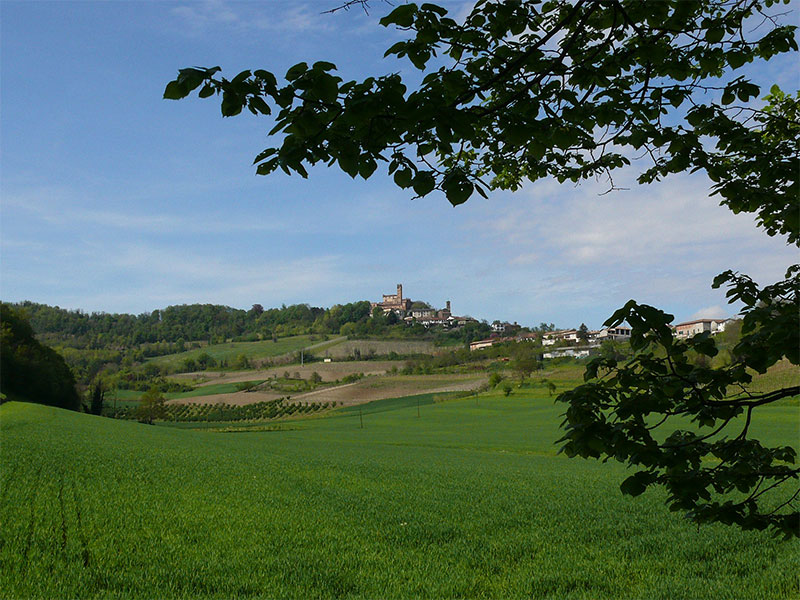 Comune di Camino (AL)