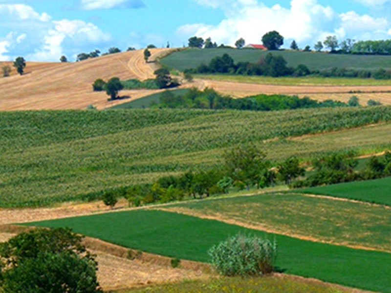 Comune di Moncestino (AL)