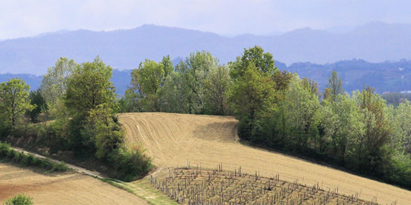 The paths of high shady and light hills Route