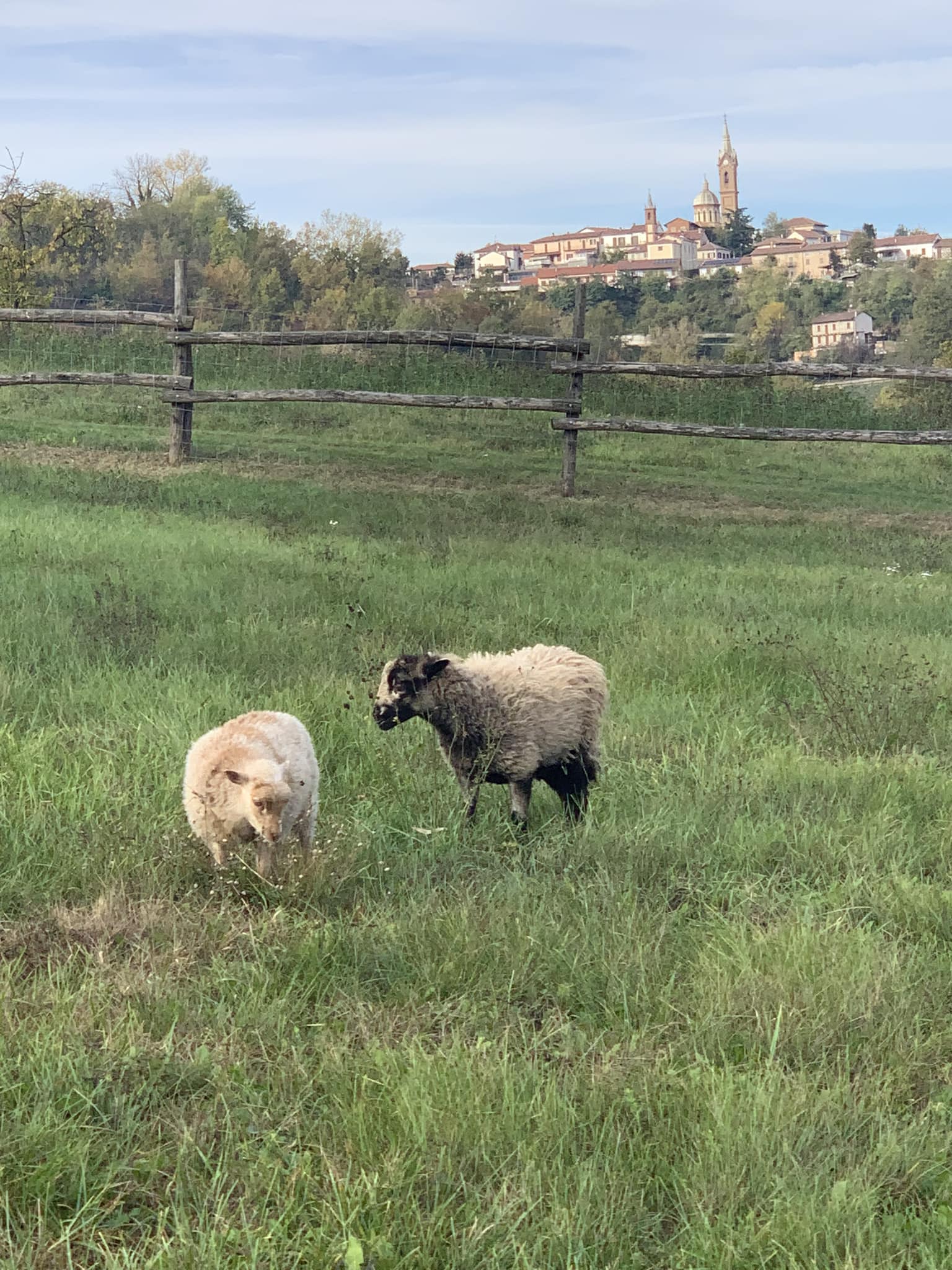 Foto 2 - paesaggio