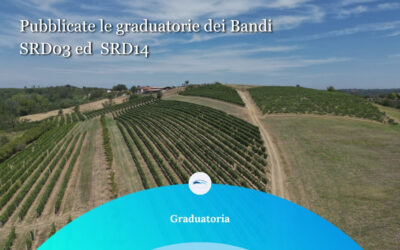 Pubblicazione Graduatorie SRD 03 e SRD 14
