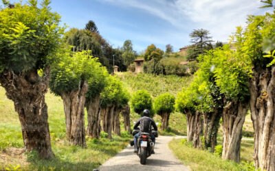 Il Monferrato oltre i confini: il territorio protagonista su Motourismo